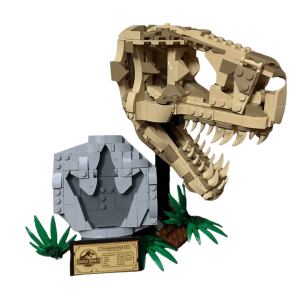 Dinosaur Fossils: T. rex Skull